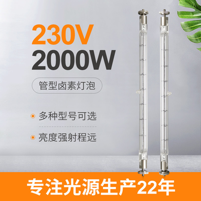 το διπλάσιο βολφραμίου 230V 2000W τελείωσε τους γραμμικούς εμπορικούς 215mm αλόγονου μολύβδους λαμπτήρων